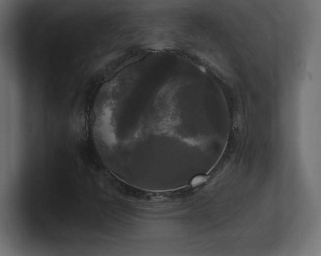 X0000100941398200806241417