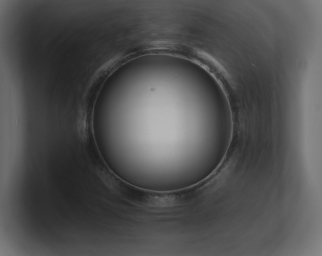 X0000100941403200806241417