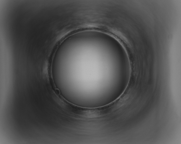 X0000100941404200806241417