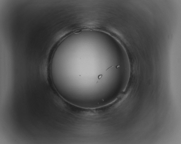 X0000100941410200806241417