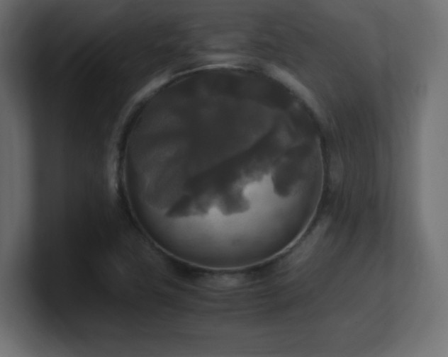 X0000100941411200806241417