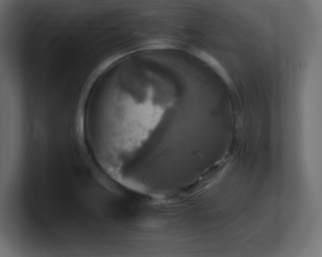 X0000100941419200806241417