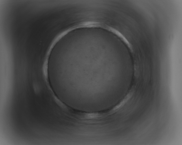 X0000100941421200806241417