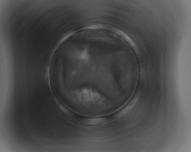 X0000100941425200806241417