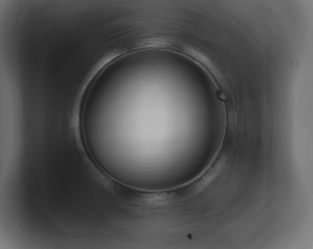 X0000100941426200806241417