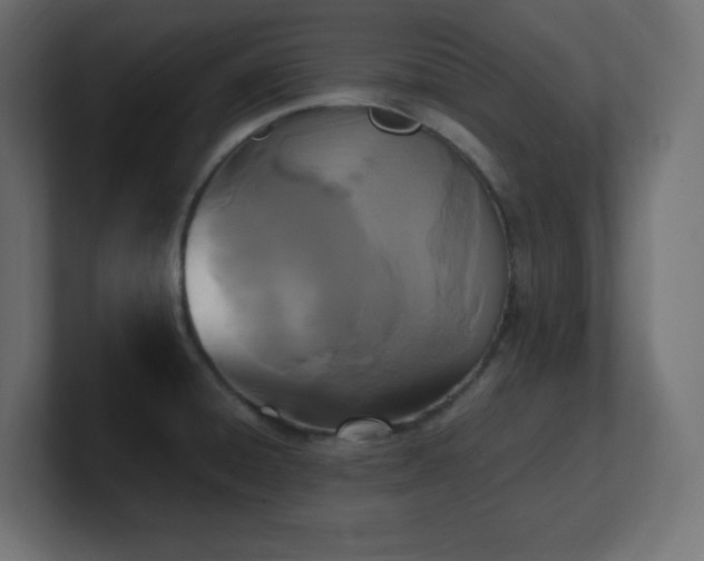 X0000100941428200806241417