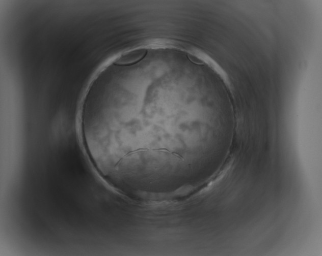X0000100941429200806241417