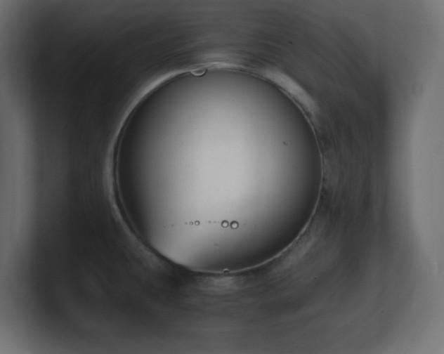 X0000100941431200806241417