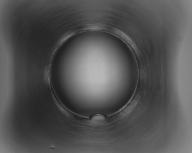 X0000100941433200806241417