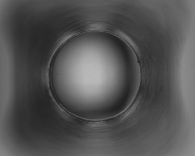 X0000100941434200806241417