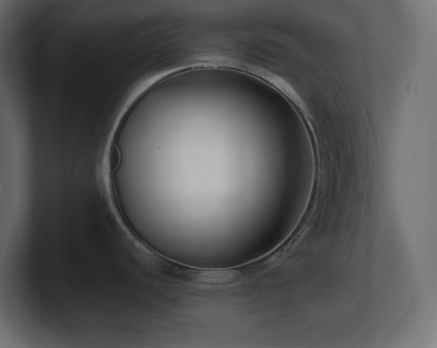 X0000100941440200806241417