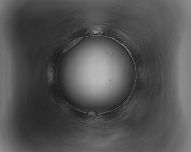 X0000100941442200806241417