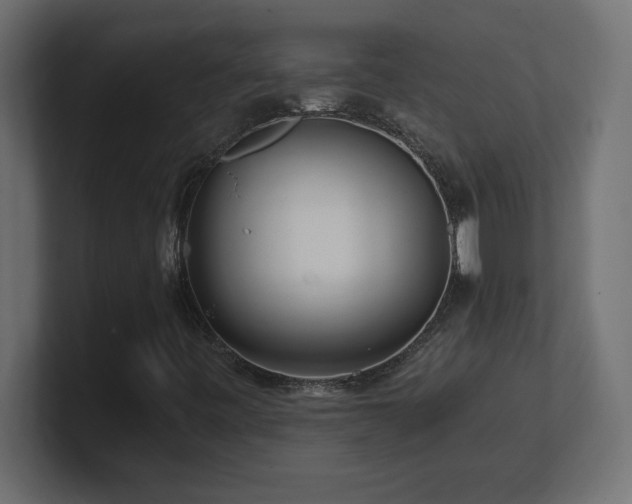 X0000100941443200806241417