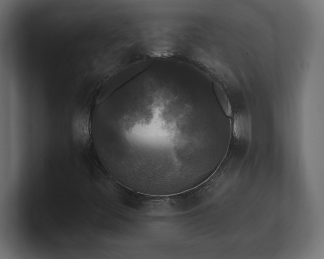 X0000100941444200806241417