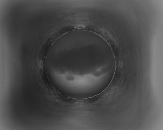 X0000100941445200806241417