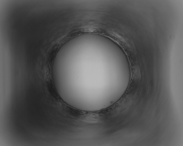 X0000100941446200806241417