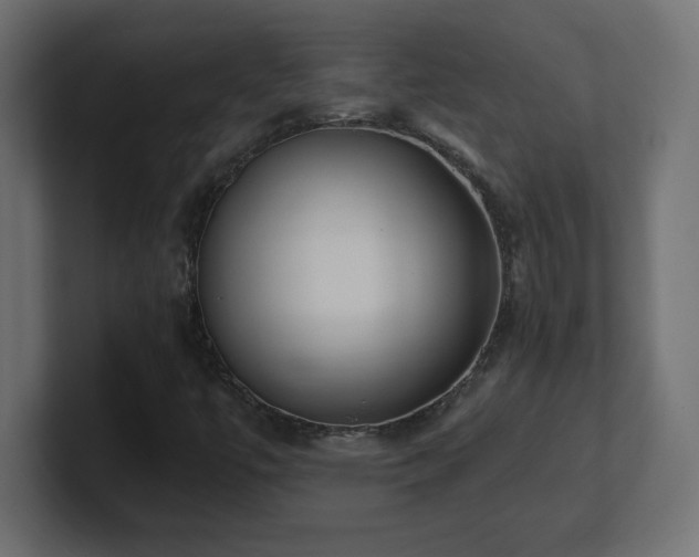 X0000100941447200806241417