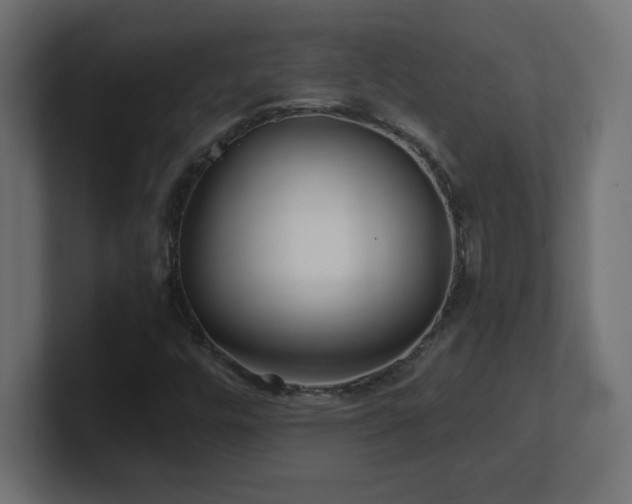 X0000100941448200806241417