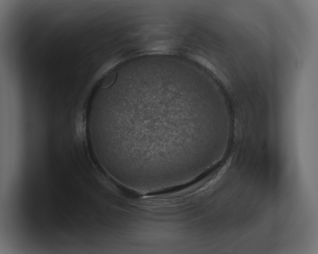 X0000100941450200806241417