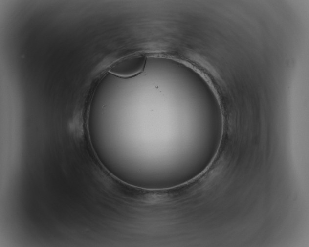 X0000100941451200806241417