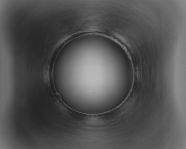X0000100941452200806241417