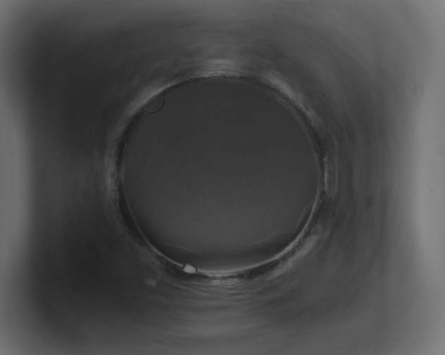 X0000100941453200806241417
