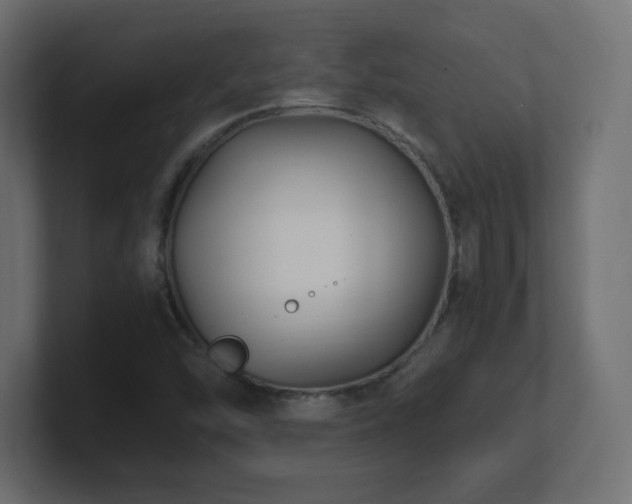 X0000100941454200806241417