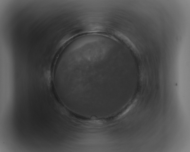 X0000100941457200806241417