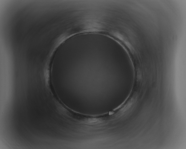 X0000100941459200806241417