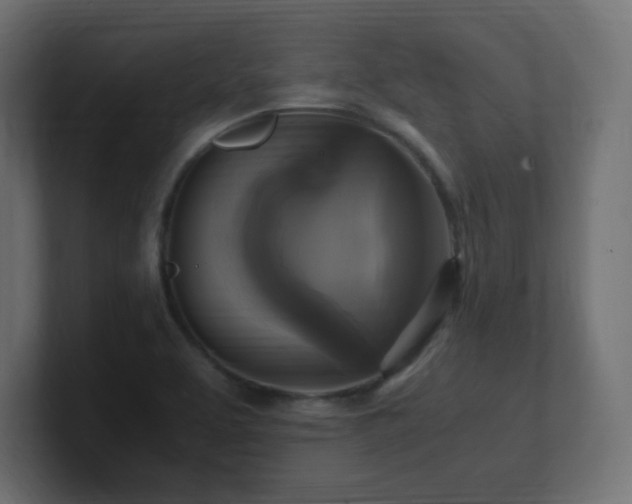 X0000100941463200806241416