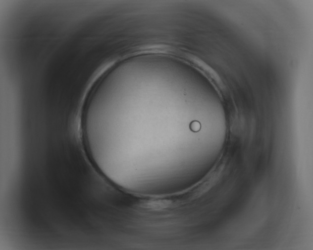 X0000100941466200806241416