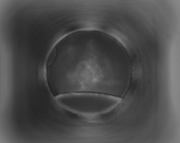X0000100941468200806241416