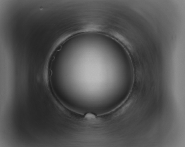 X0000100941469200806241416