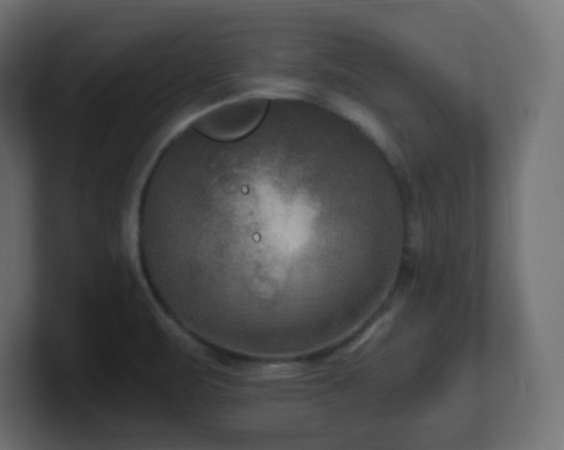 X0000100941471200806241416