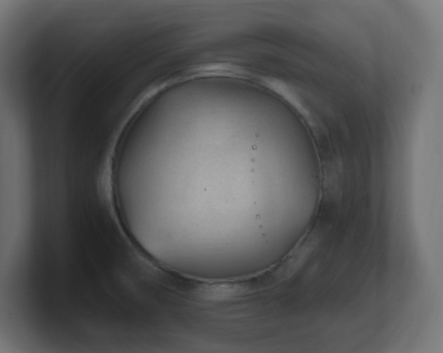 X0000100941474200806241416