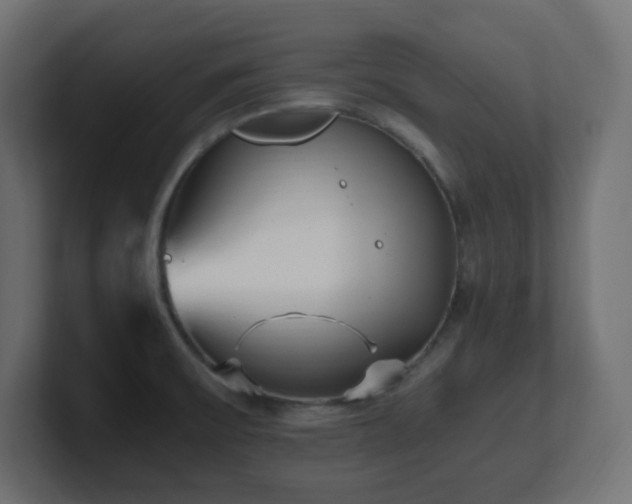 X0000100941475200806241416