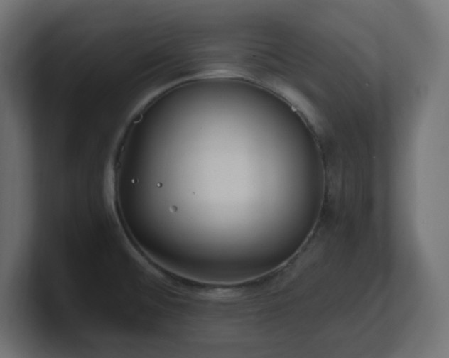X0000100941476200806241416