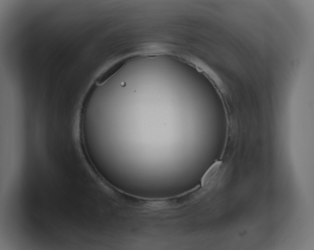 X0000100941477200806241416