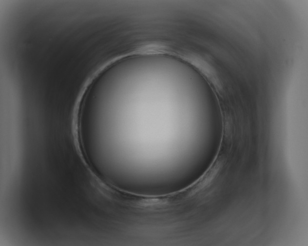 X0000100941478200806241416