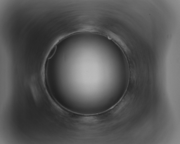 X0000100941479200806241416