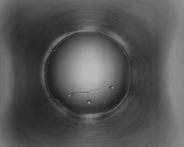 X0000100941480200806241416