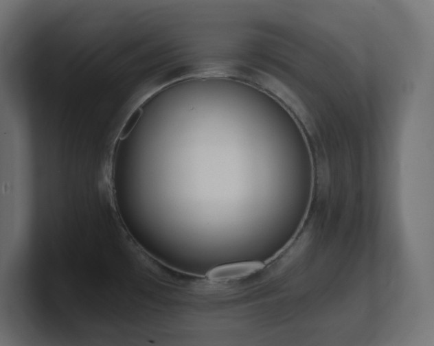 X0000100941481200806241416