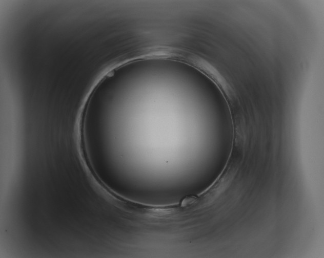 X0000100941483200806241416