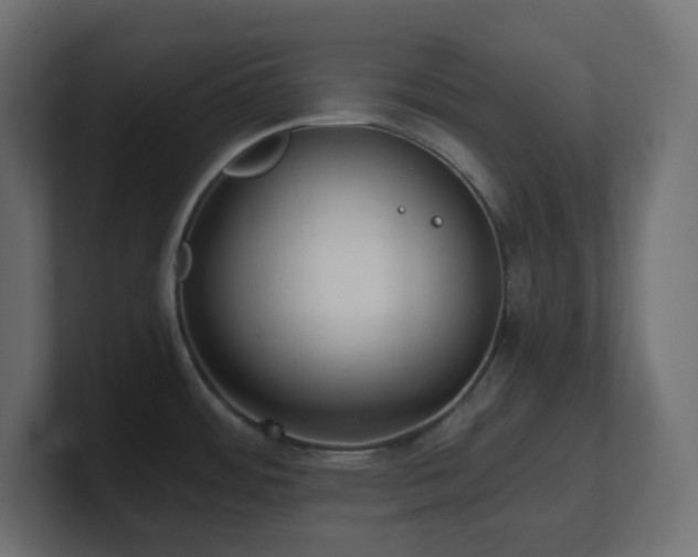 X0000100941484200806241416