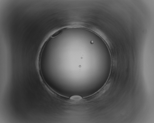 X0000100941485200806241416