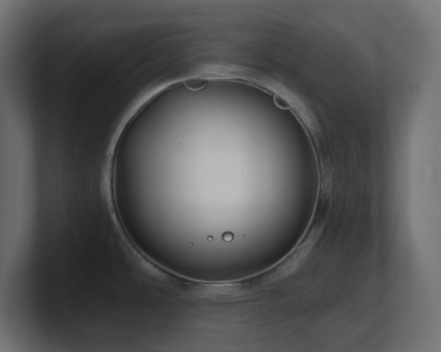 X0000100941486200806241416