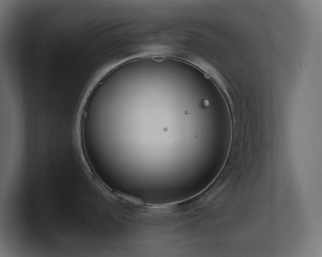 X0000100941488200806241416