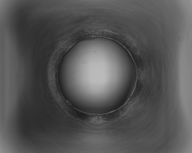 X0000100941489200806241415