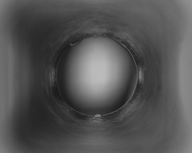 X0000100941492200806241415