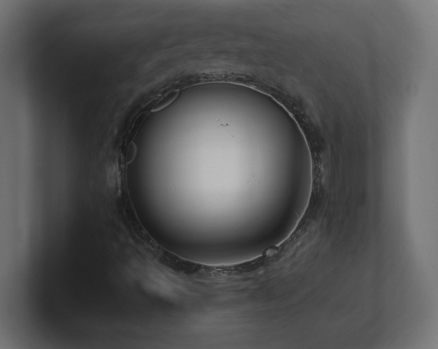 X0000100941493200806241415